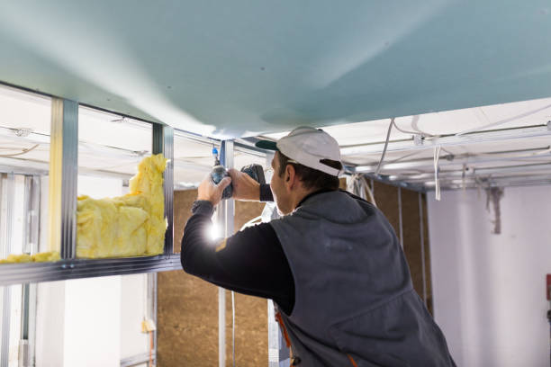 Best Types of Insulation in Redwood Valley, CA